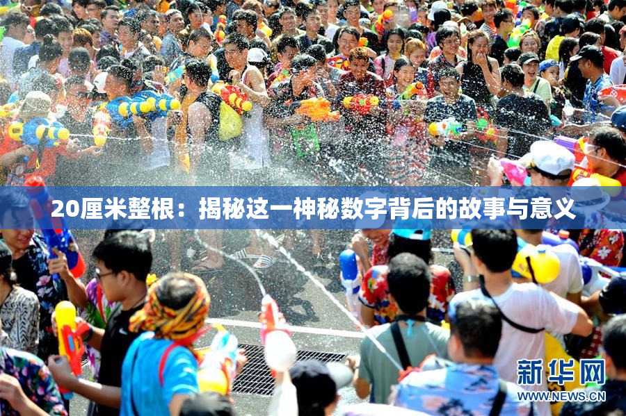20厘米整根：揭秘这一神秘数字背后的故事与意义