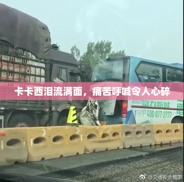 卡卡西泪流满面，痛苦呼喊令人心碎