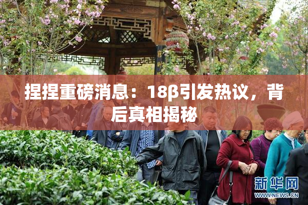 捏捏重磅消息：18β引发热议，背后真相揭秘