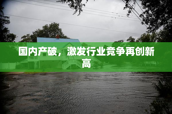 国内产破，激发行业竞争再创新高