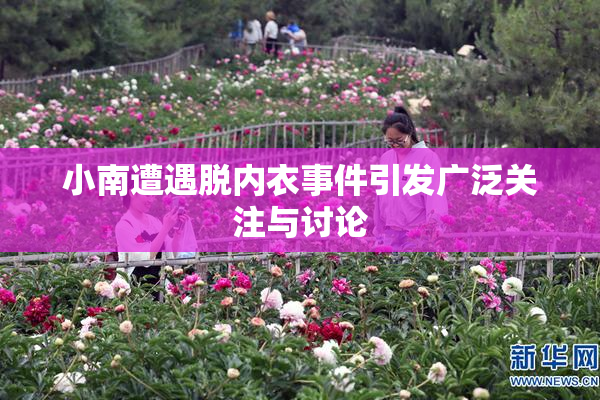 小南遭遇脱内衣事件引发广泛关注与讨论