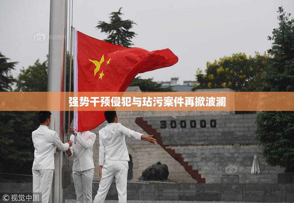 强势干预侵犯与玷污案件再掀波澜