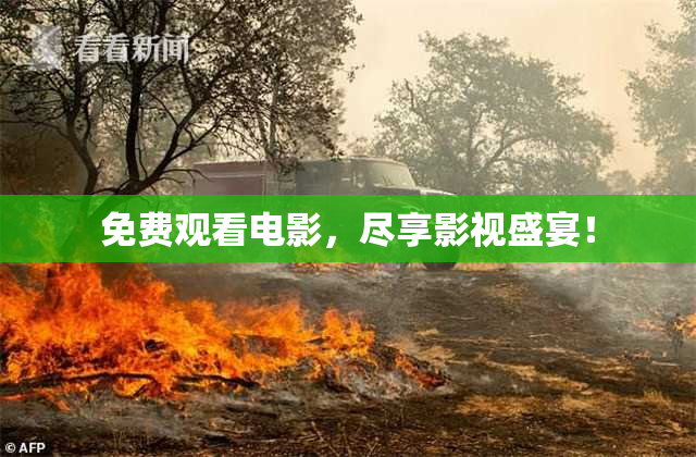 免费观看电影，尽享影视盛宴！