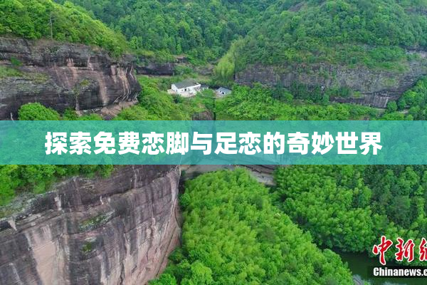 探索免费恋脚与足恋的奇妙世界