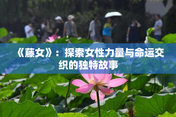 《藤女》：探索女性力量与命运交织的独特故事
