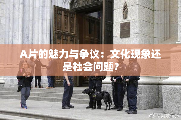 A片的魅力与争议：文化现象还是社会问题？