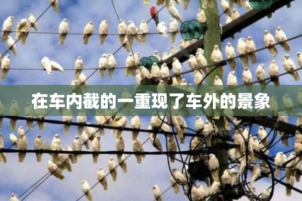 在车内截的一重现了车外的景象