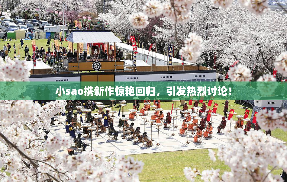 小sao携新作惊艳回归，引发热烈讨论！