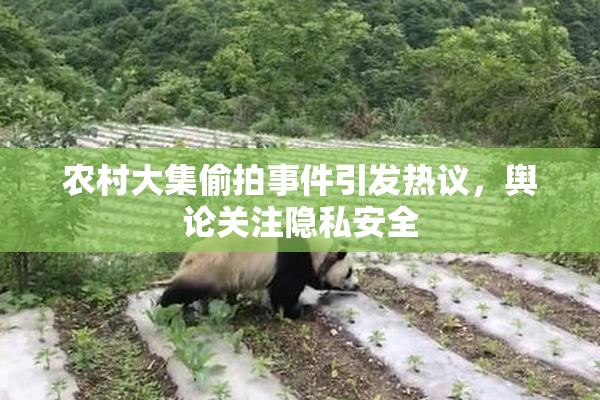 农村大集偷拍事件引发热议，舆论关注隐私安全