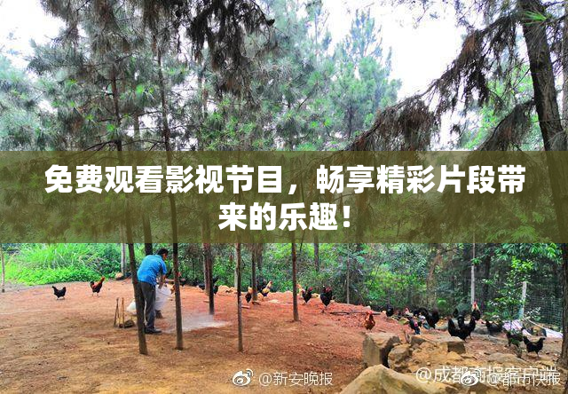 免费观看影视节目，畅享精彩片段带来的乐趣！