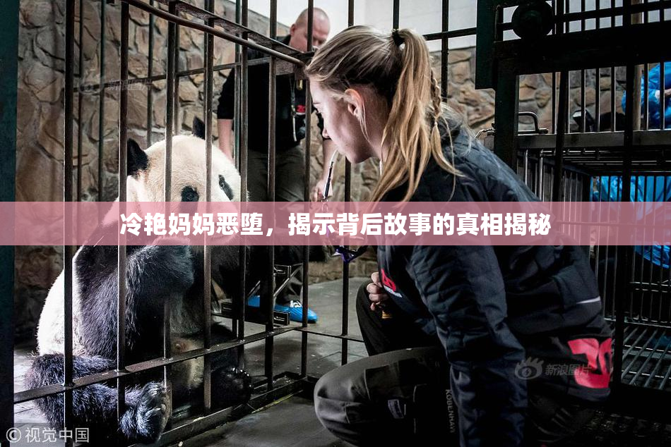 冷艳妈妈恶堕，揭示背后故事的真相揭秘