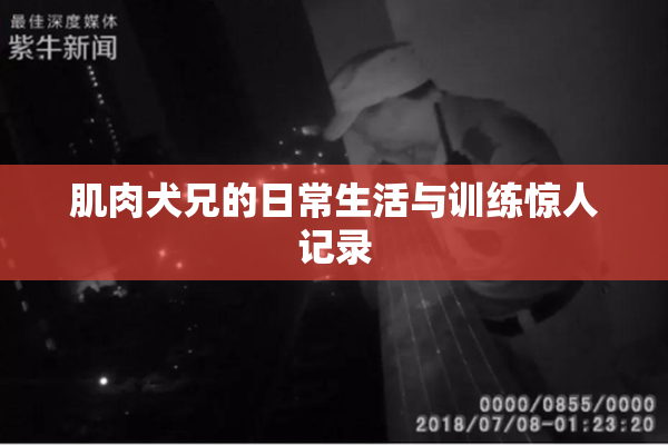 肌肉犬兄的日常生活与训练惊人记录