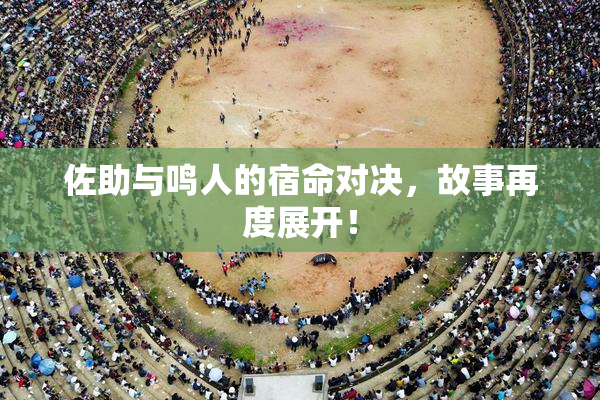 佐助与鸣人的宿命对决，故事再度展开！