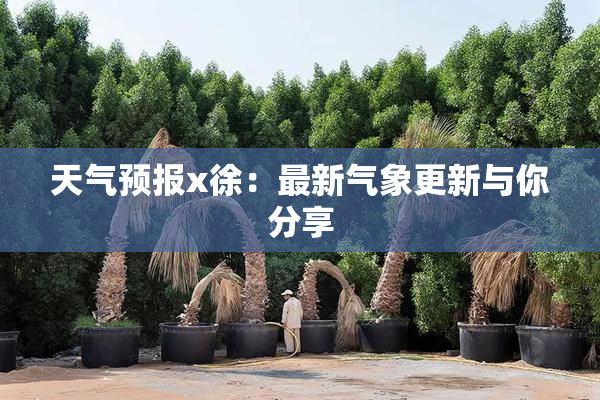天气预报x徐：最新气象更新与你分享