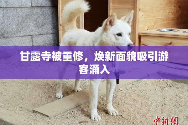 甘露寺被重修，焕新面貌吸引游客涌入