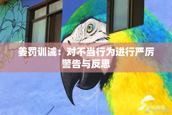姜罚训诫：对不当行为进行严厉警告与反思