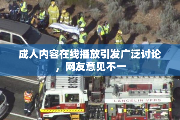 成人内容在线播放引发广泛讨论，网友意见不一
