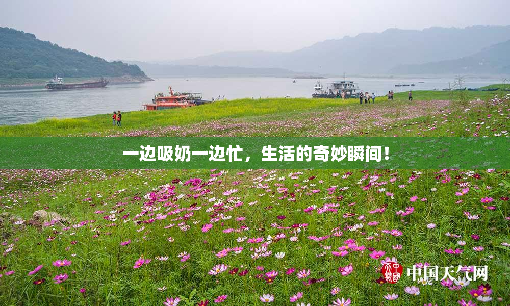 一边吸奶一边忙，生活的奇妙瞬间！