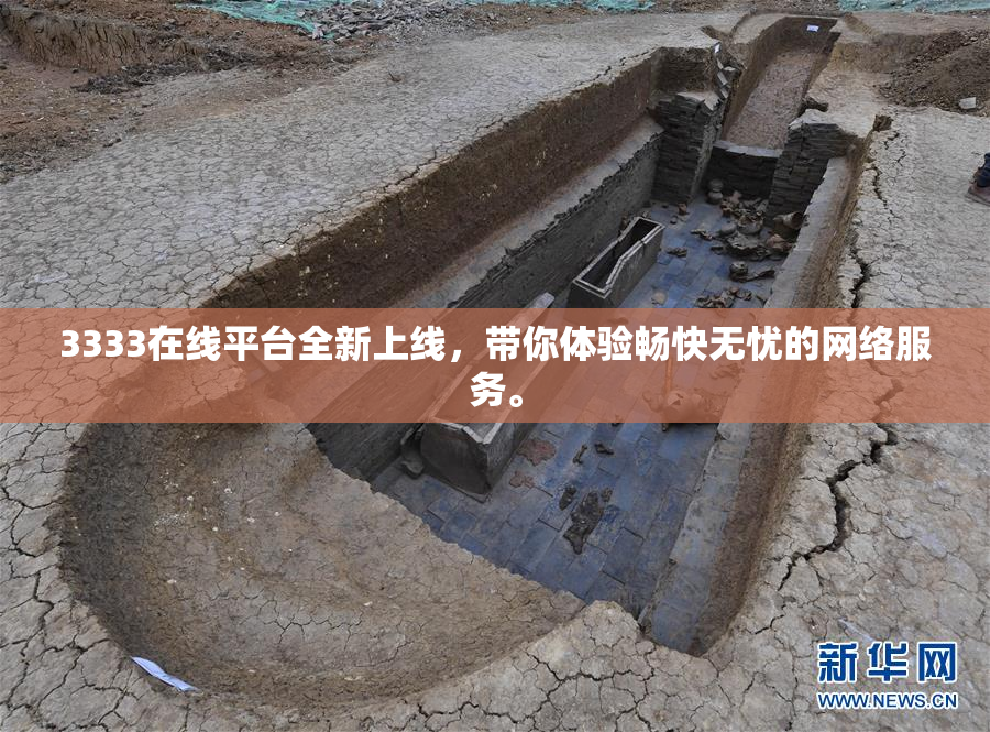 3333在线平台全新上线，带你体验畅快无忧的网络服务。