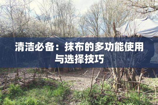 清洁必备：抹布的多功能使用与选择技巧