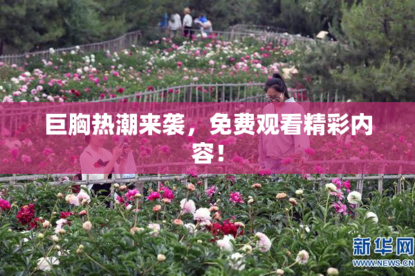 巨胸热潮来袭，免费观看精彩内容！