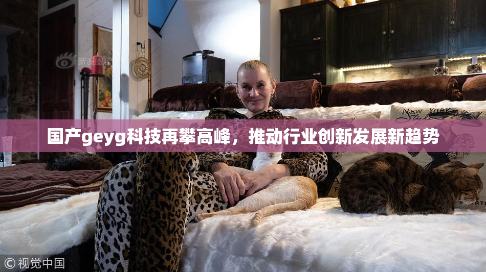 国产geyg科技再攀高峰，推动行业创新发展新趋势