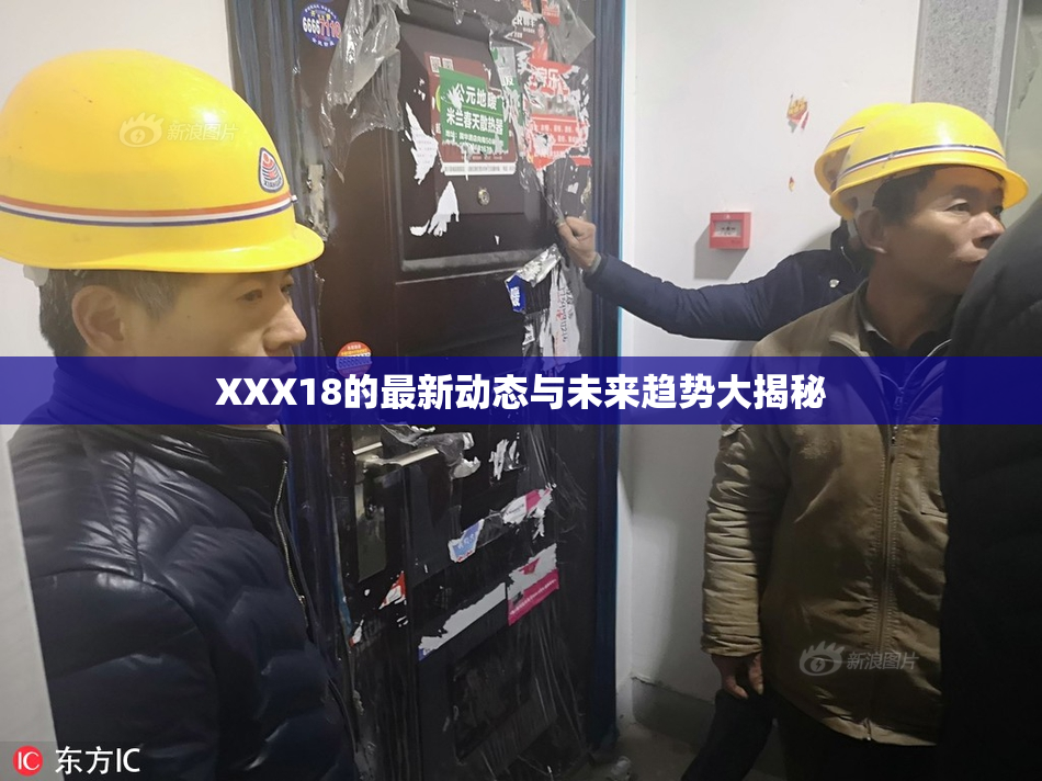 XXX18的最新动态与未来趋势大揭秘