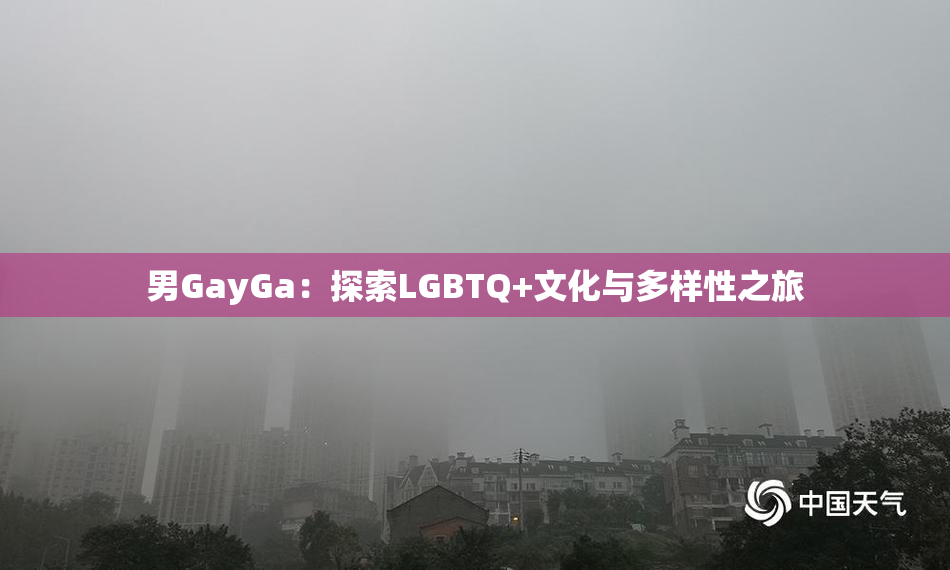 男GayGa：探索LGBTQ+文化与多样性之旅