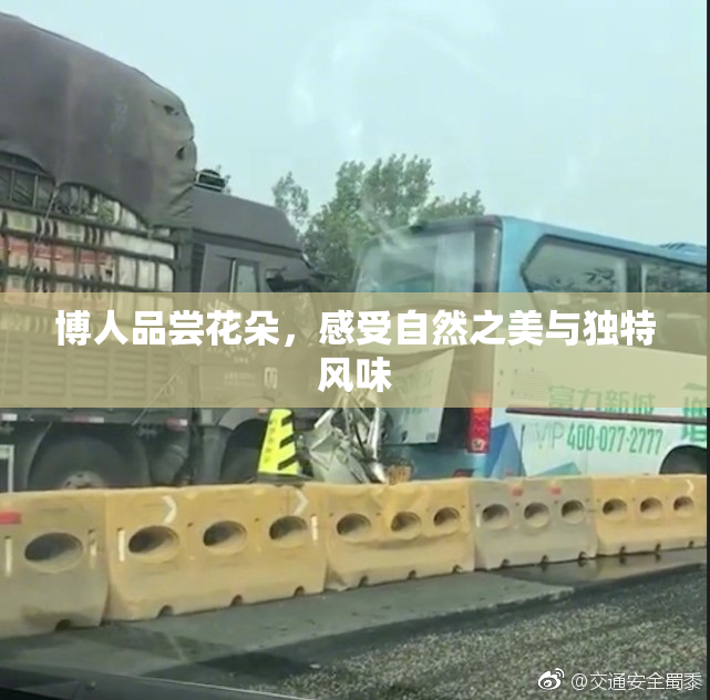 博人品尝花朵，感受自然之美与独特风味