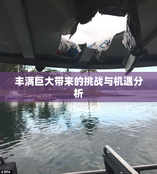 丰满巨大带来的挑战与机遇分析