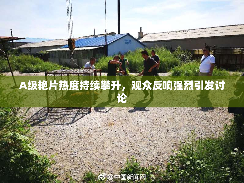 A级艳片热度持续攀升，观众反响强烈引发讨论