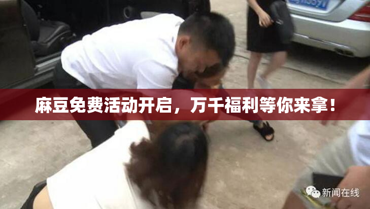 麻豆免费活动开启，万千福利等你来拿！