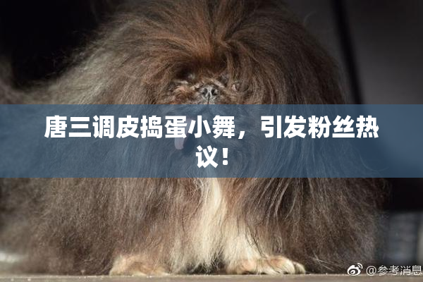 唐三调皮捣蛋小舞，引发粉丝热议！