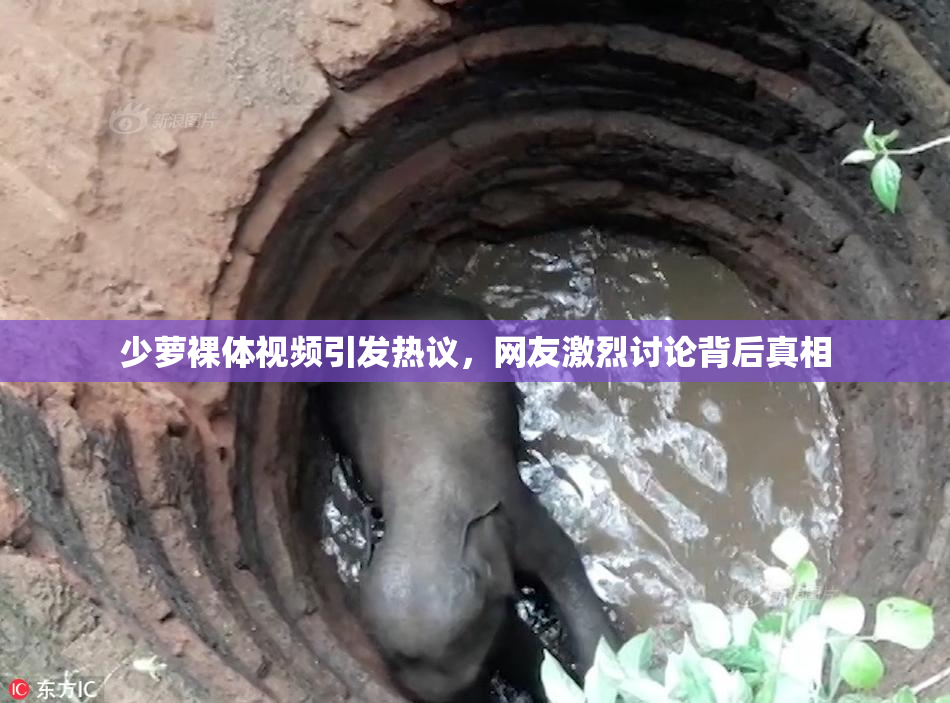 少萝裸体视频引发热议，网友激烈讨论背后真相