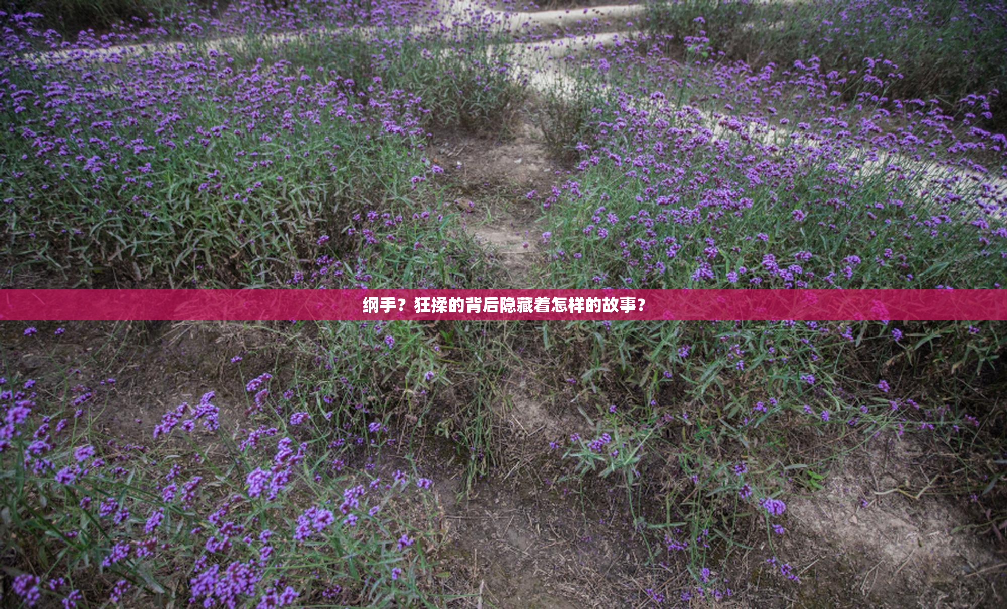 纲手？狂揉的背后隐藏着怎样的故事？