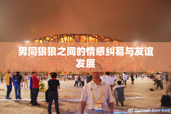 男同狼狼之间的情感纠葛与友谊发展