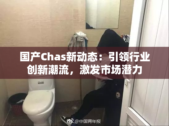 国产Chas新动态：引领行业创新潮流，激发市场潜力