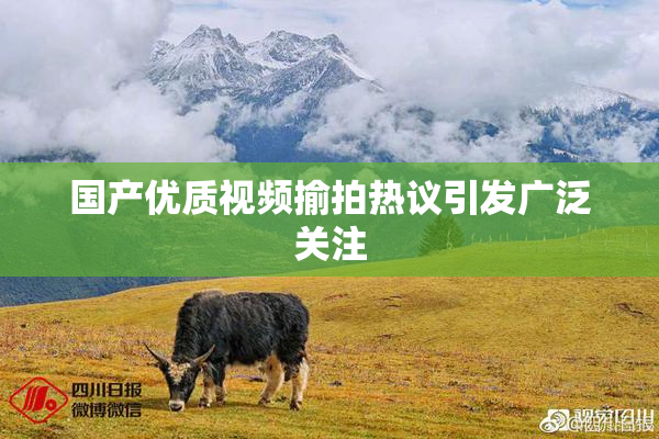 国产优质视频揄拍热议引发广泛关注