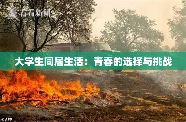大学生同居生活：青春的选择与挑战