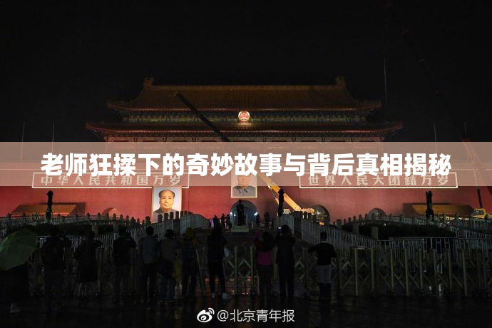 老师狂揉下的奇妙故事与背后真相揭秘