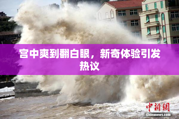 宫中爽到翻白眼，新奇体验引发热议