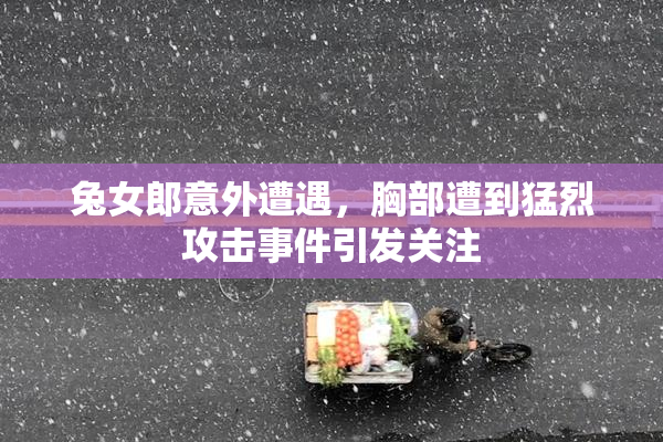 兔女郎意外遭遇，胸部遭到猛烈攻击事件引发关注