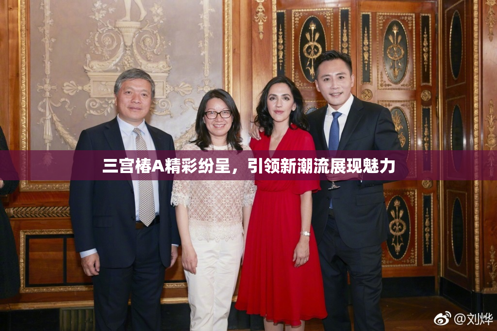 三宫椿A精彩纷呈，引领新潮流展现魅力