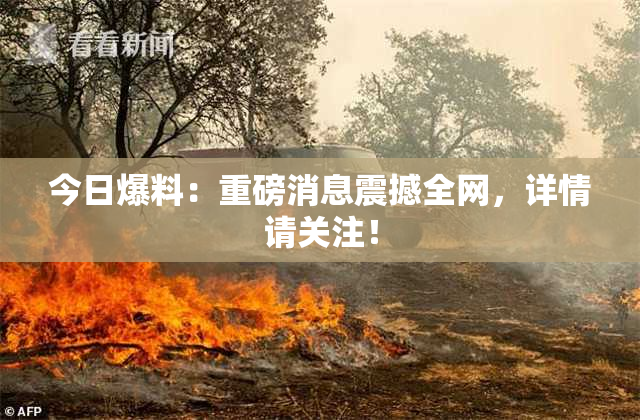 今日爆料：重磅消息震撼全网，详情请关注！