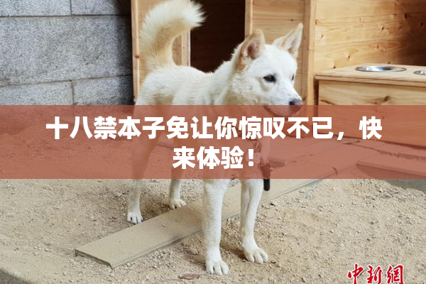 十八禁本子免让你惊叹不已，快来体验！