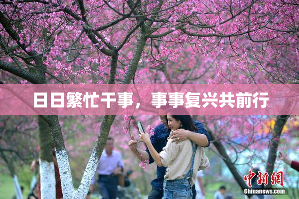 日日繁忙干事，事事复兴共前行