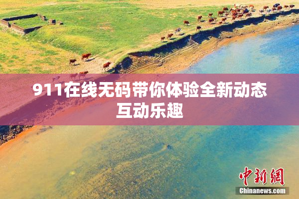 911在线无码带你体验全新动态互动乐趣