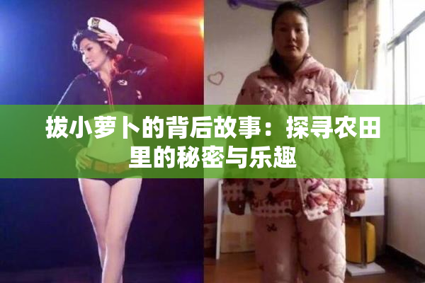 拔小萝卜的背后故事：探寻农田里的秘密与乐趣
