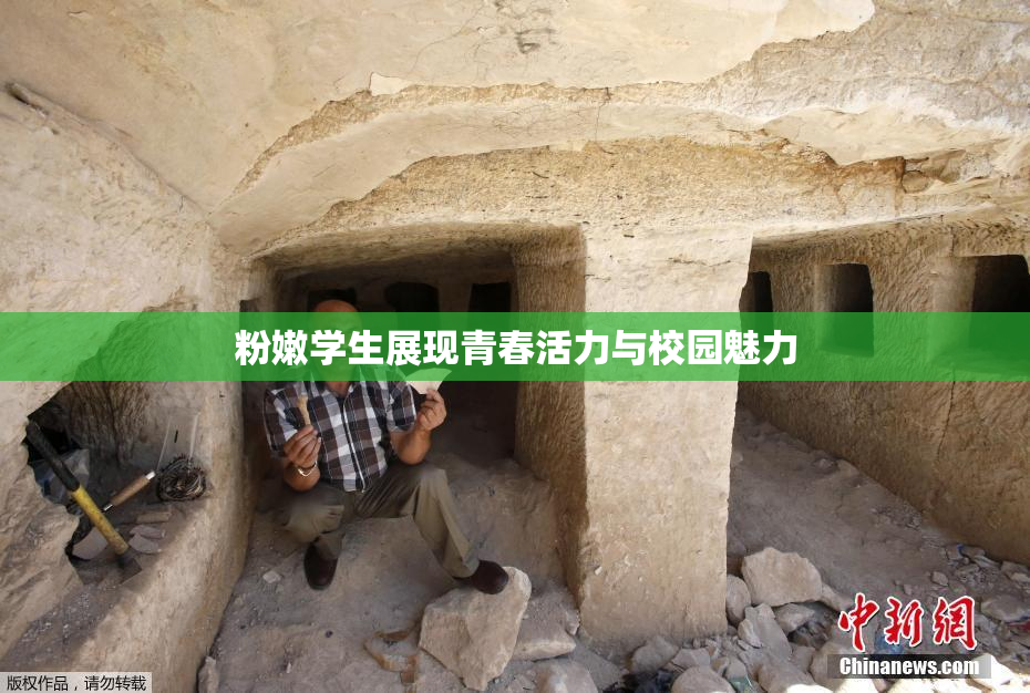 粉嫩学生展现青春活力与校园魅力