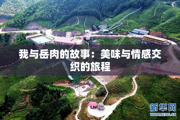 我与岳肉的故事：美味与情感交织的旅程